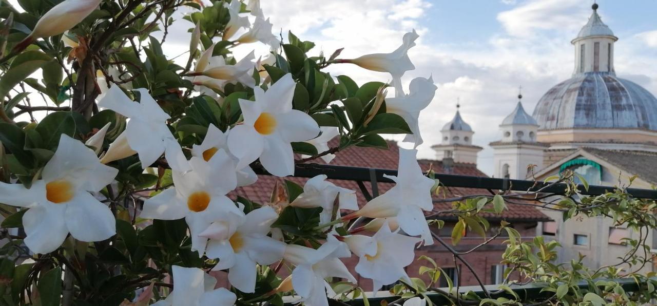 Una Favolosa Terrazza Nel Centro Di Roma Экстерьер фото